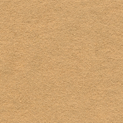 Display Felt Beige (32)