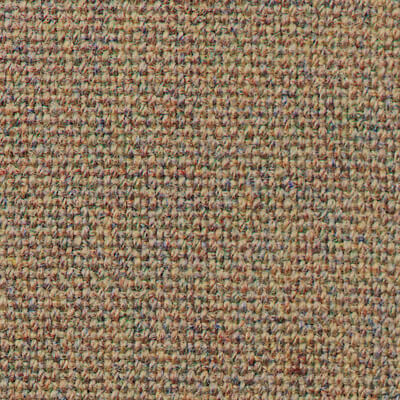 Main Line Plus Brindle