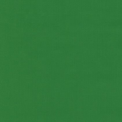 Polyline 2 Green