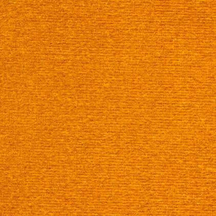 Vegas 620gsm Velour Gold