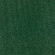 Applause Velvet Velour Green