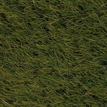 Artificial Grass Lawn