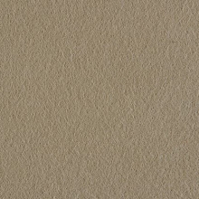 Display Felt New Fawn