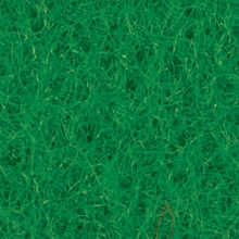 Exhibition Carpet Apple Green