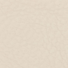 Leatherette White