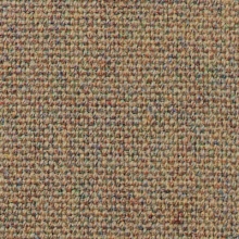 Main Line Plus Brindle