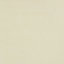 Trevira Silk Champagne