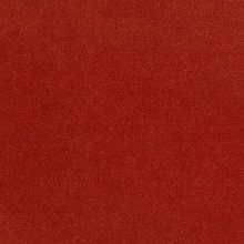 Velvet Velour Cognac