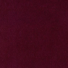 Velvet Velour Damson