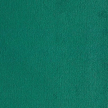 Velvet Velour Holly DFR 395g/m2