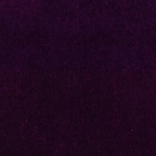 Velvet Velour Purple
