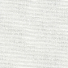 Cotton Canvas Bleached 300gm/m² (620cm)