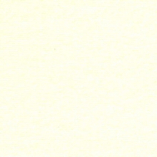 Vegas 620gsm Velour Natural